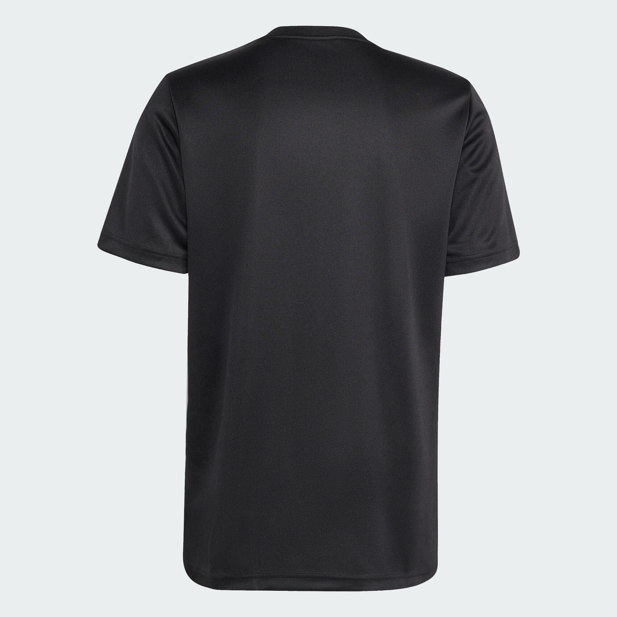 Maglia Supporter All Blacks 6/6