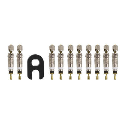 Nuclei valvola Presta (x10)
