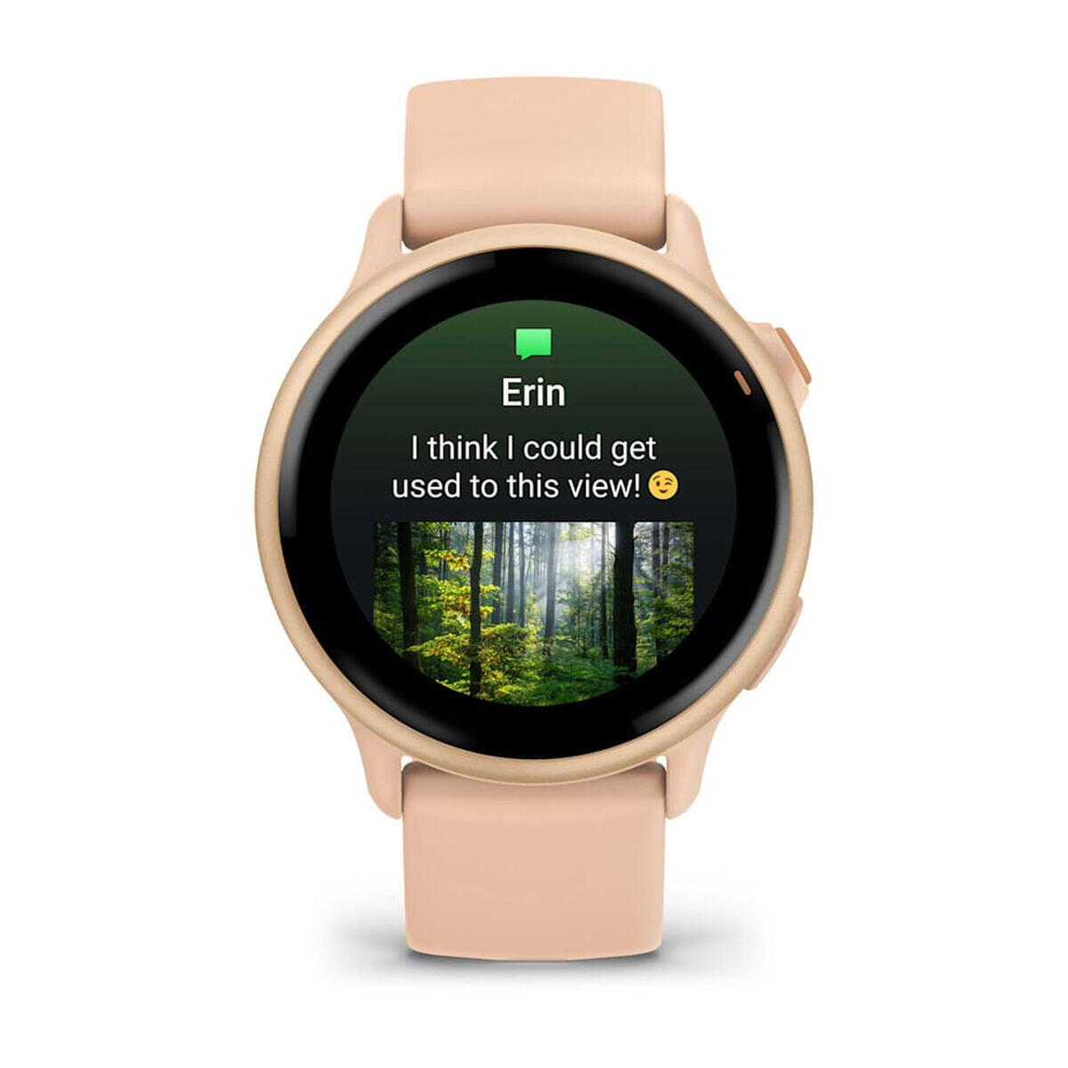 Smartwatch GARMIN 010-02985-03 Smartwatch 3/5