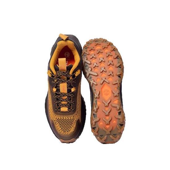 Scarpe Uomo Timberland Motion Access marrone