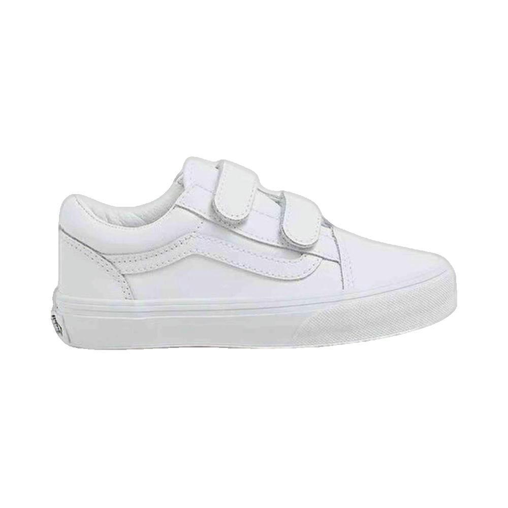 VANS picture