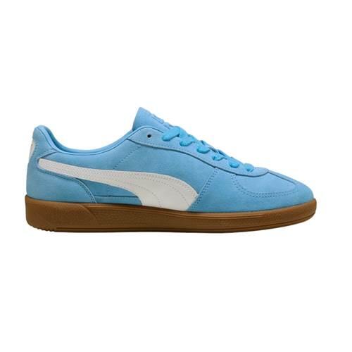 PUMA picture