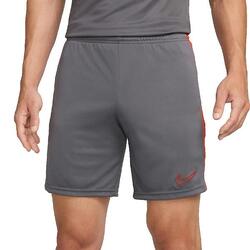 Short Hommes Nike Dri-Fit Academy gris