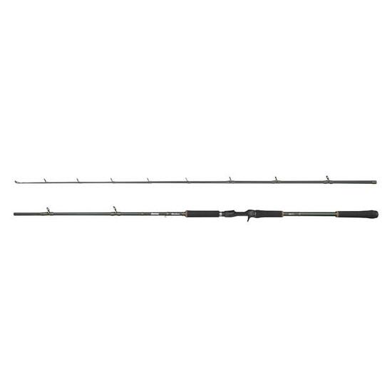 Canne casting Abu Garcia Beast X 100-280g