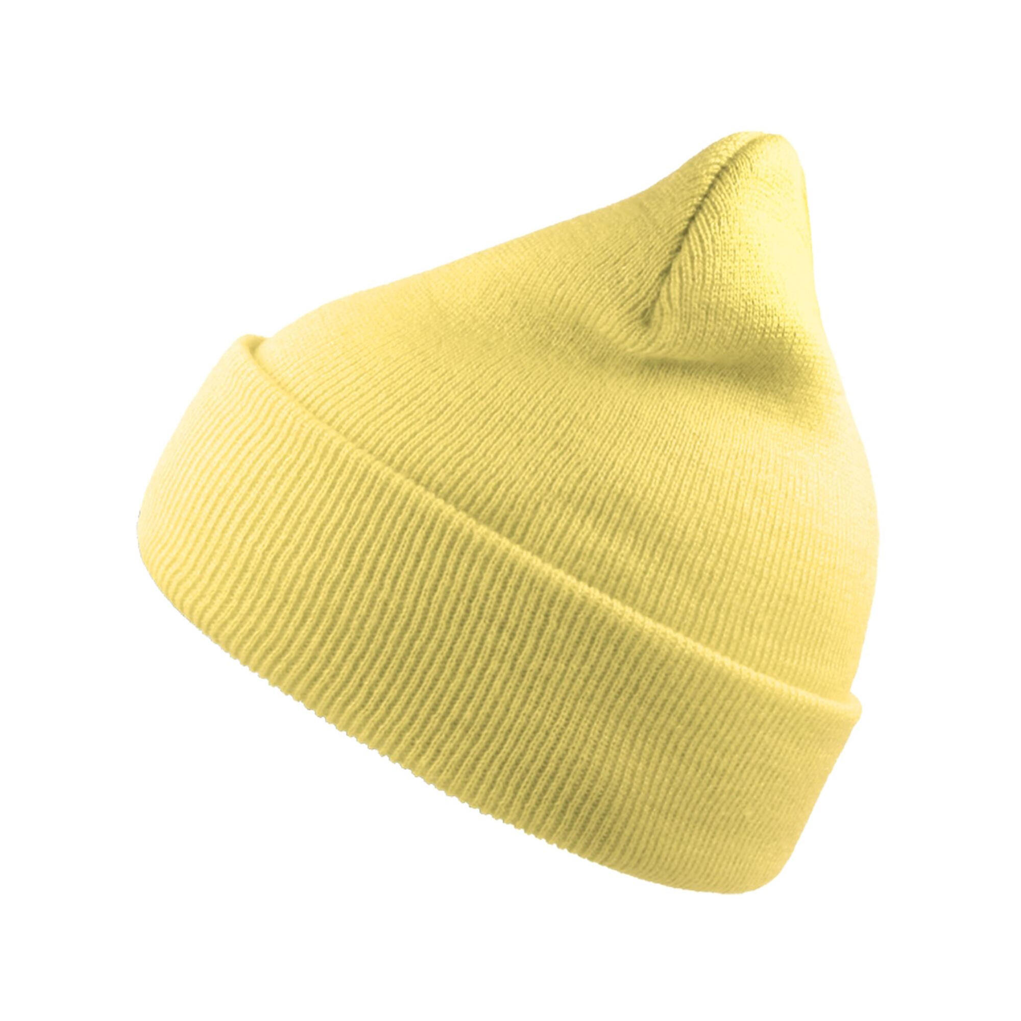ATLANTIS Unisex Adult Wind Cuffed Beanie (Safety Yellow)