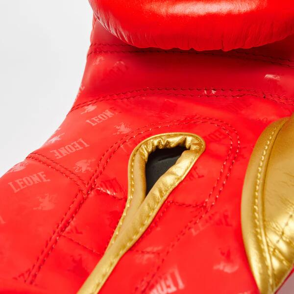 Guantoni da boxe Leone DNA 6/7