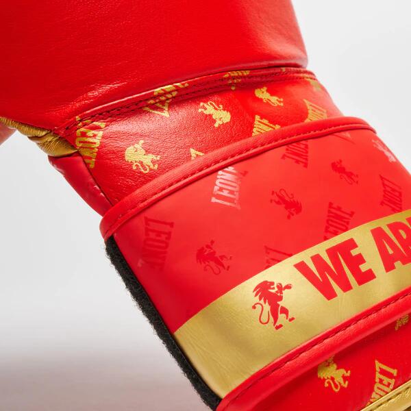 Guantoni da boxe Leone DNA 5/7