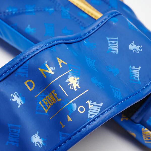 Guantes de boxeo Leone DNA 6/7