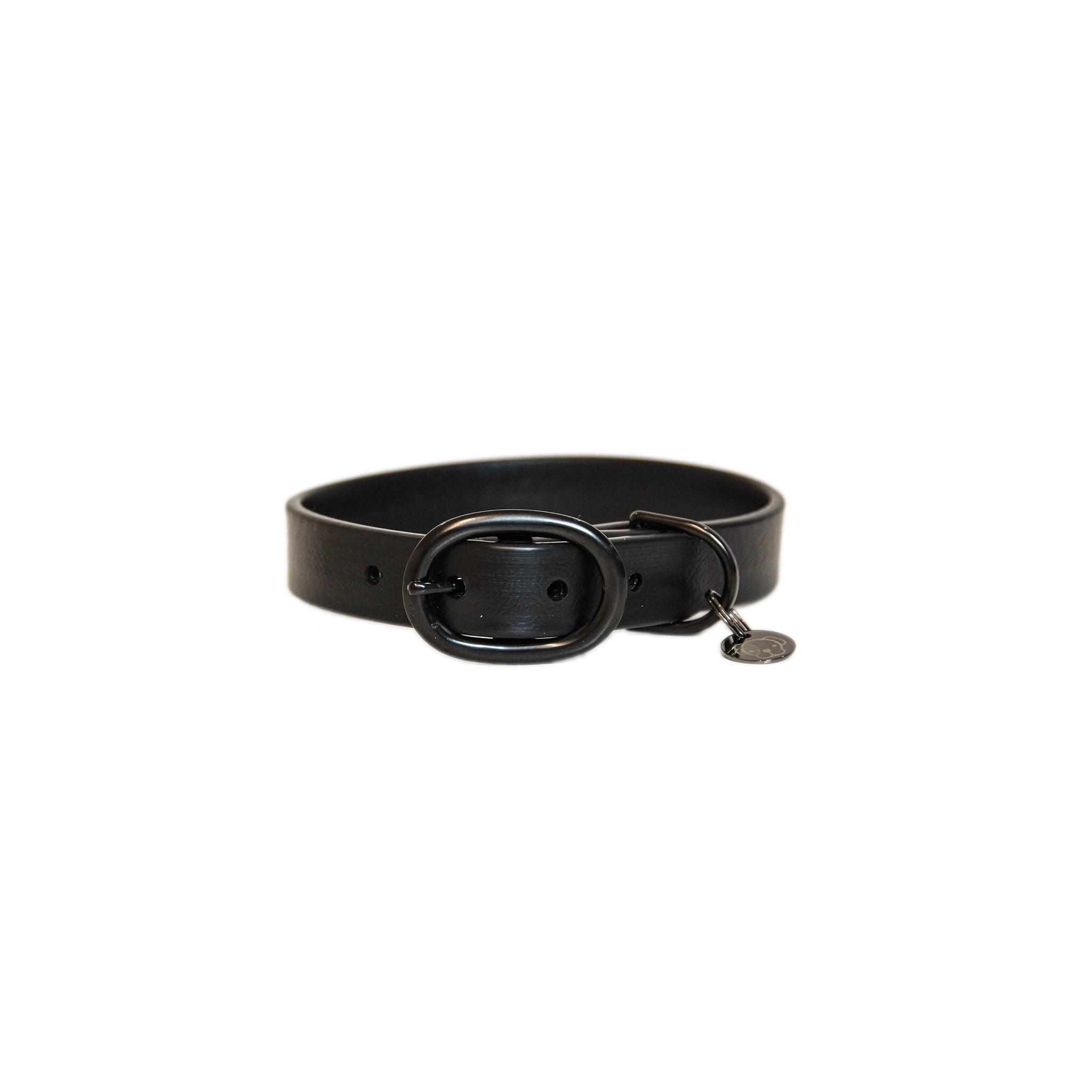 Collier pour chien caoutchouc Kentucky 5/5