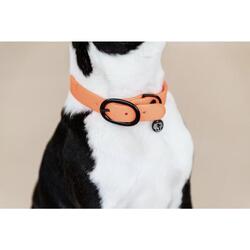 Collier pour chien Soft Rubber - Kentucky