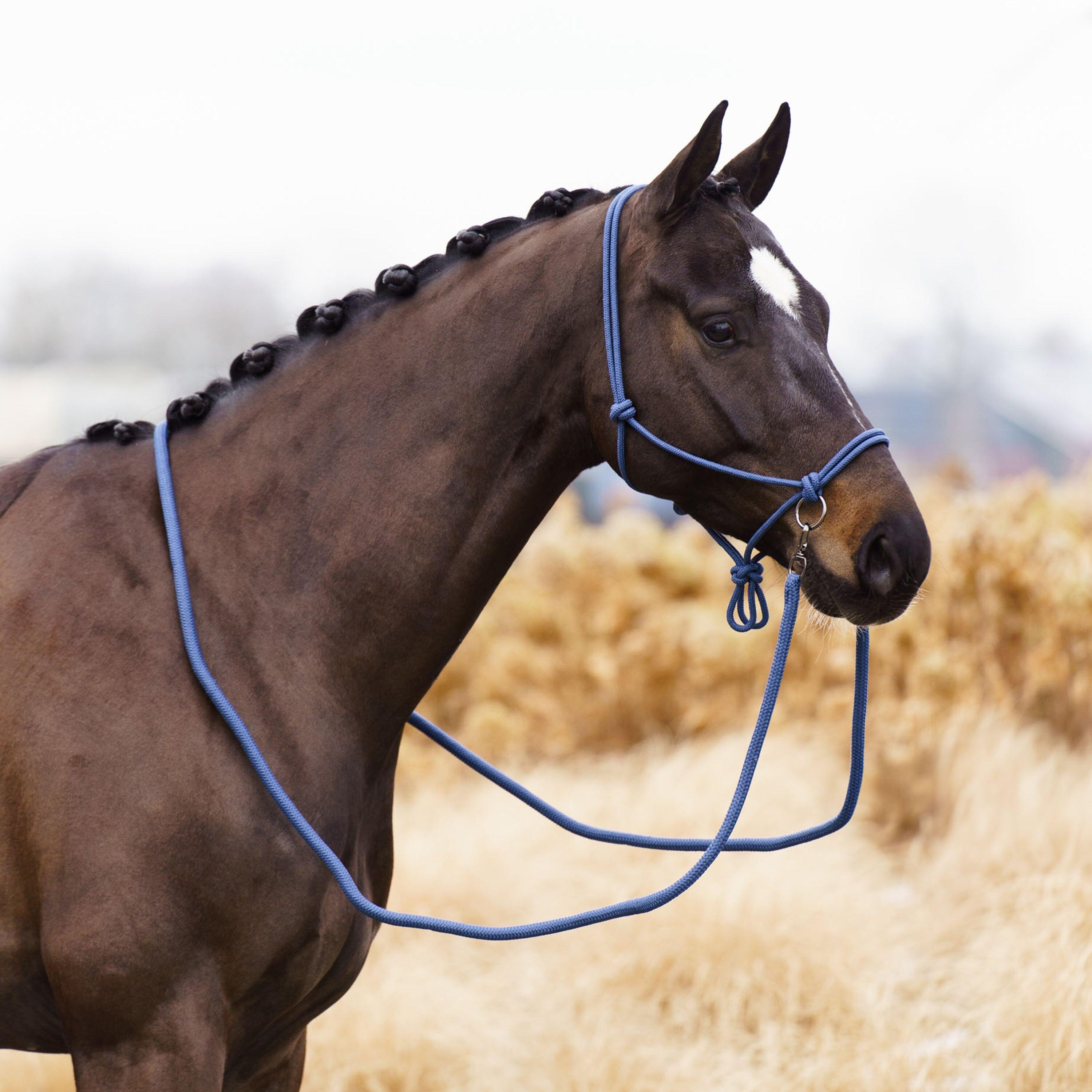 Licol éthologique pour cheval Imperial Riding Ambient 2/5