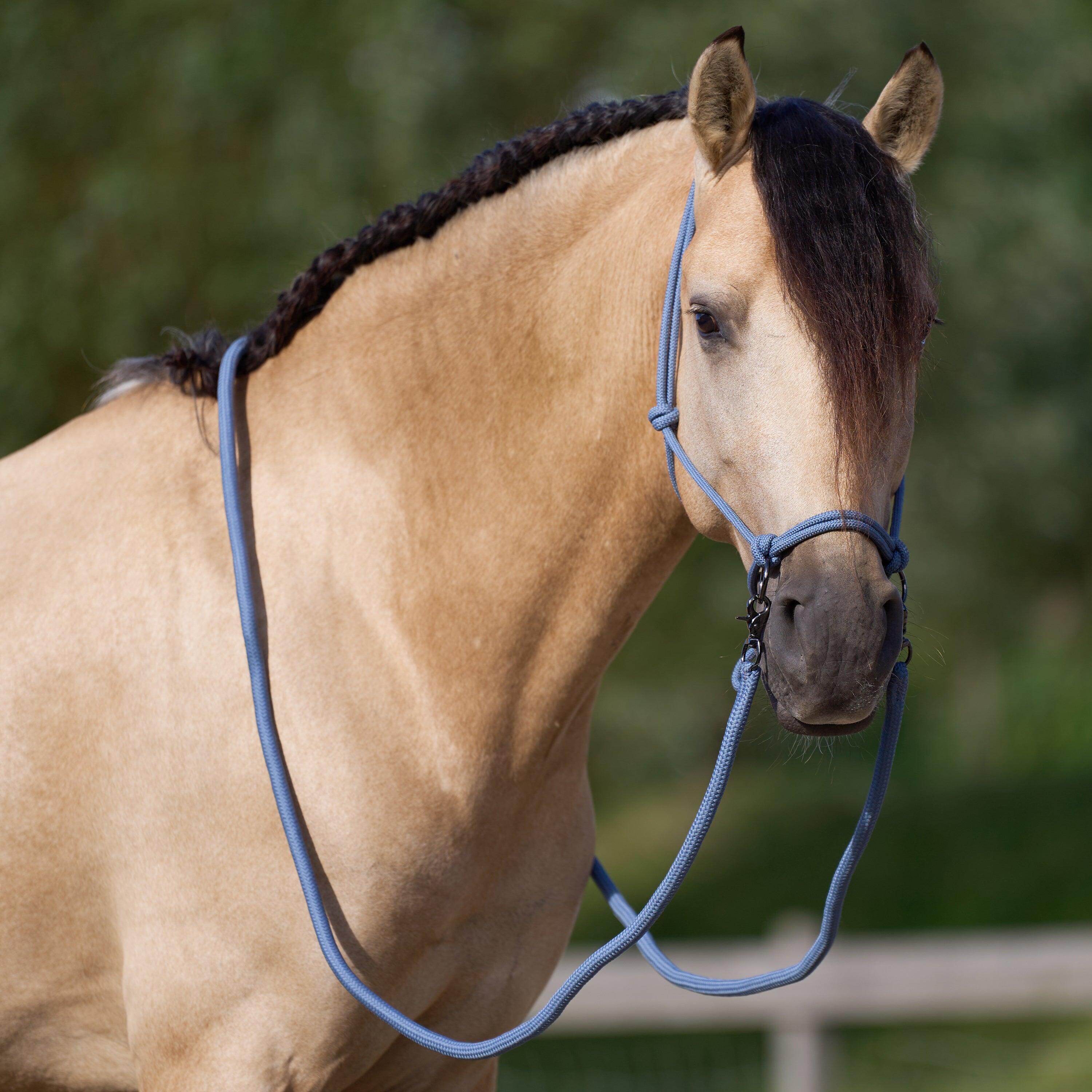 Licol éthologique pour cheval Imperial Riding Ambient 5/5