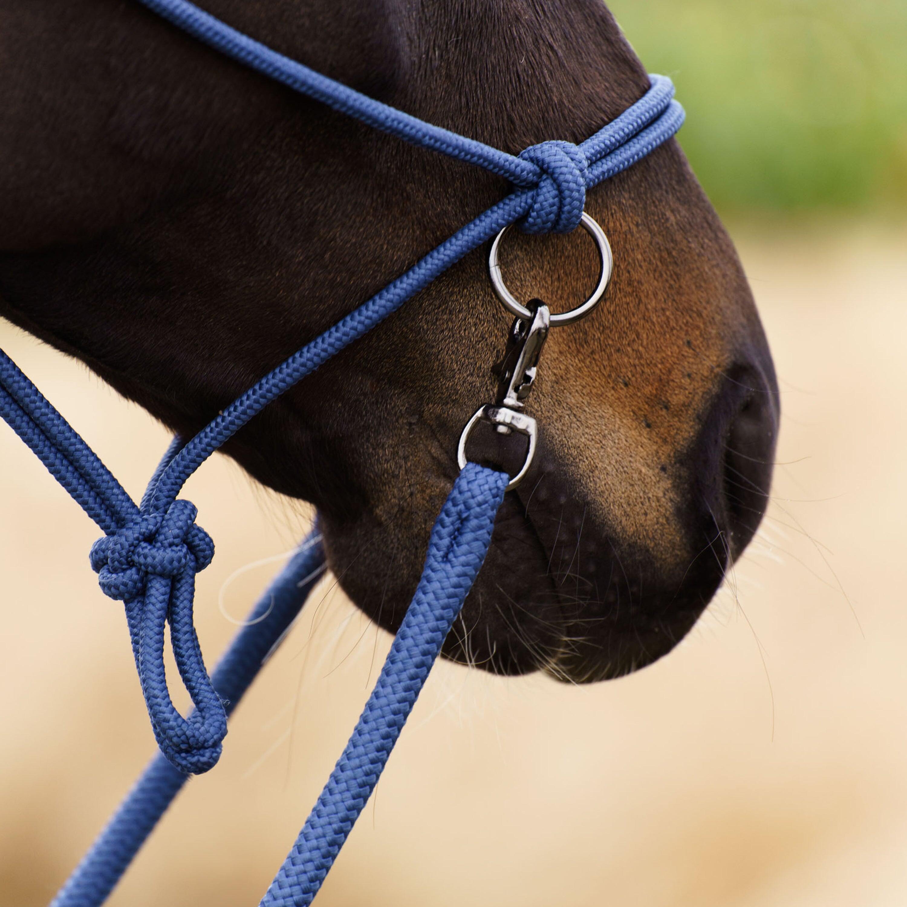 Licol éthologique pour cheval Imperial Riding Ambient 4/5