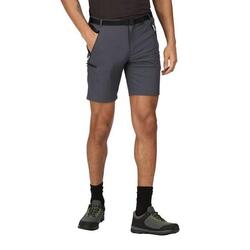 Xert III Homme Randonnée Short - Gris foncé