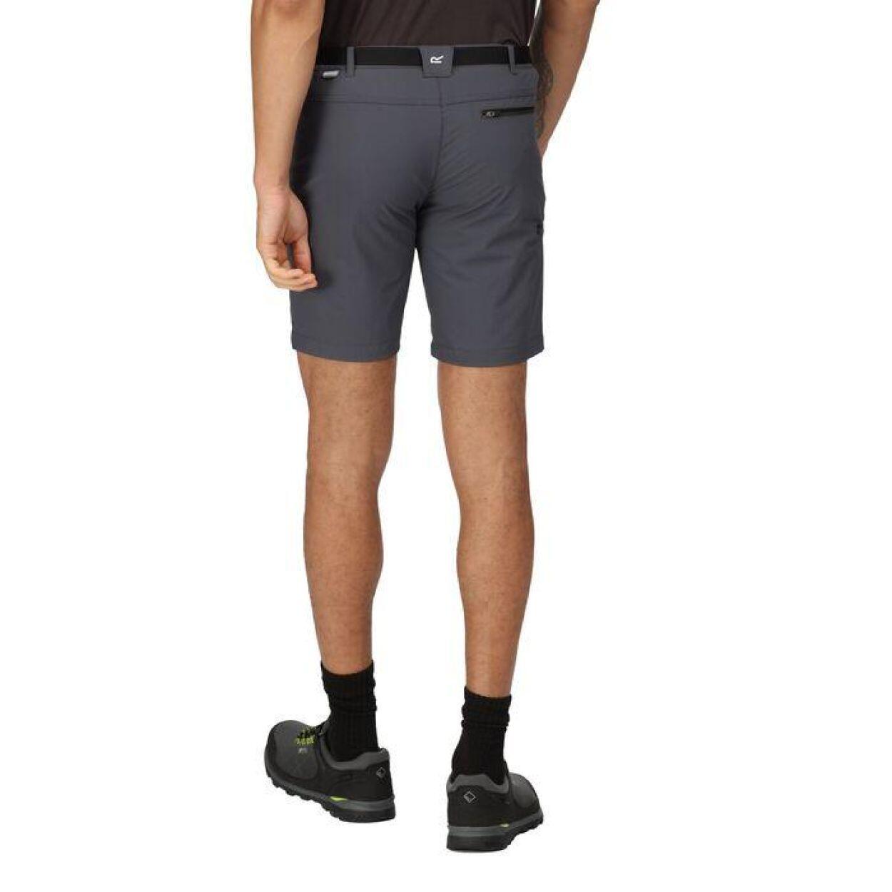 Pantalón Corto Deportivo Montaña Regatta Xert StrShort III Gris 2/7