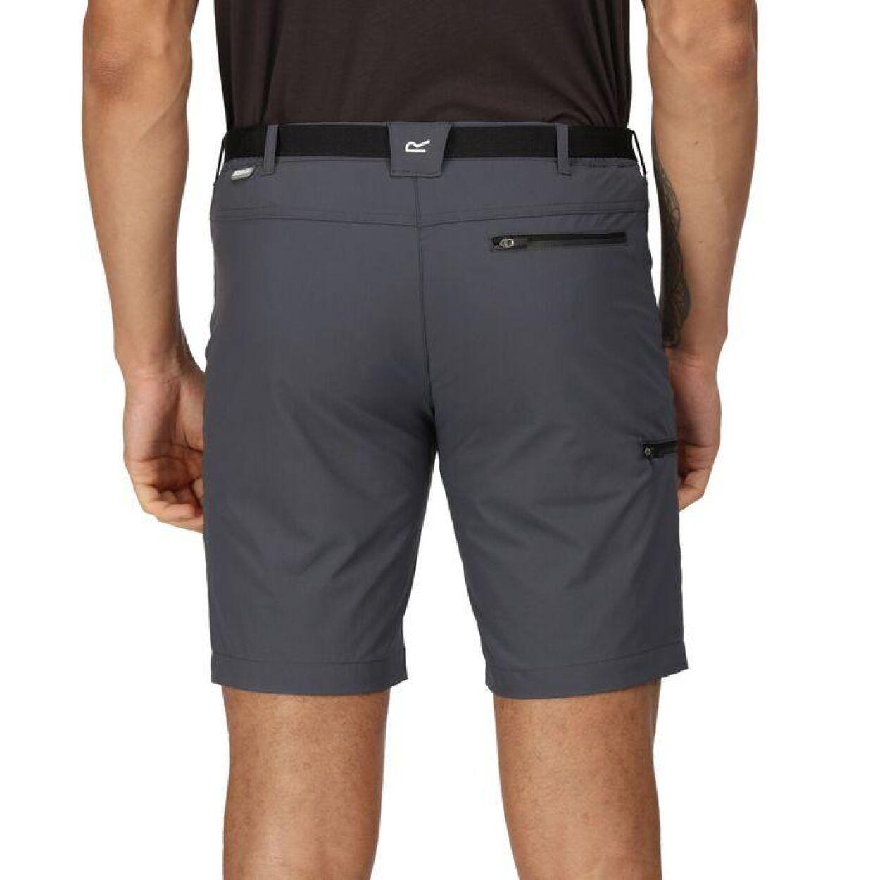 Shorts da trekking Regatta Xert III 5/7