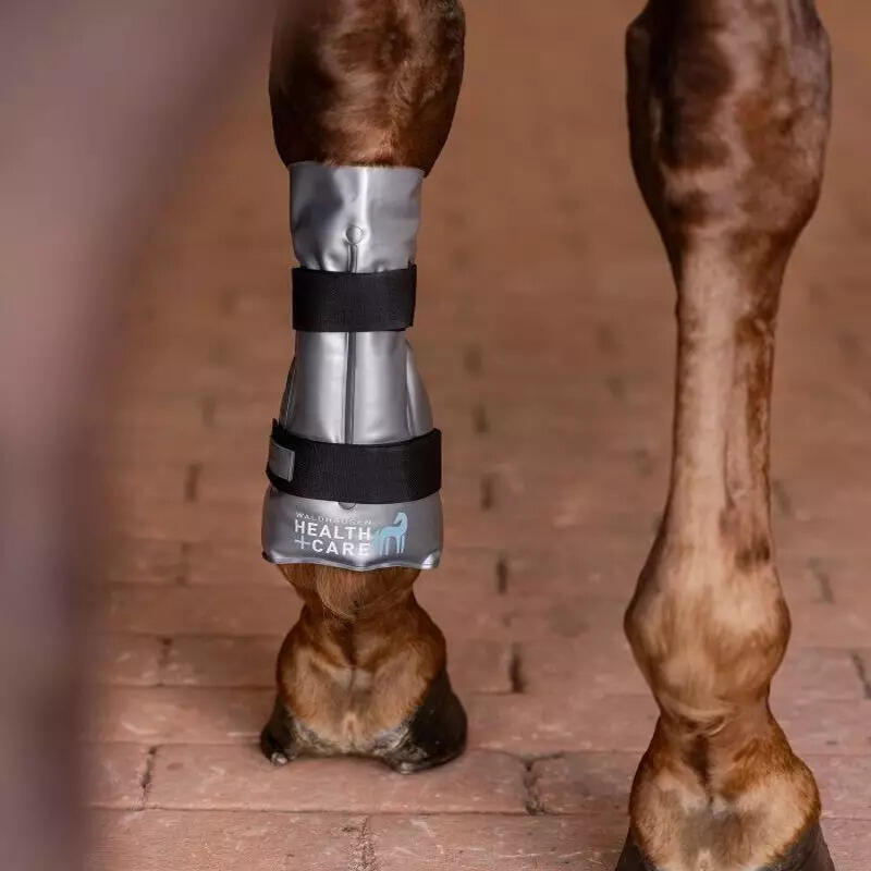 Guêtre ouverte pour cheval froide et chaude Waldhausen Hot-Chilly 5/5