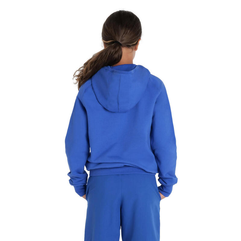 Hanorac sport Arena Junior Team Hooded Sweat Panel