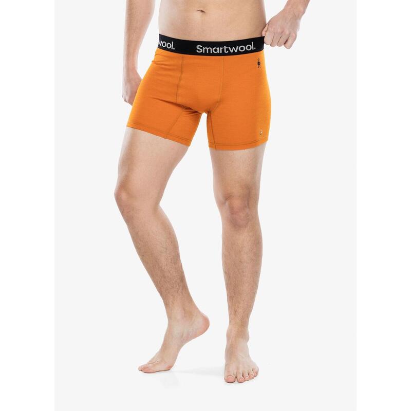 Bokserki termoaktywne męskie Smartwool Active Boxer Brief Boxed