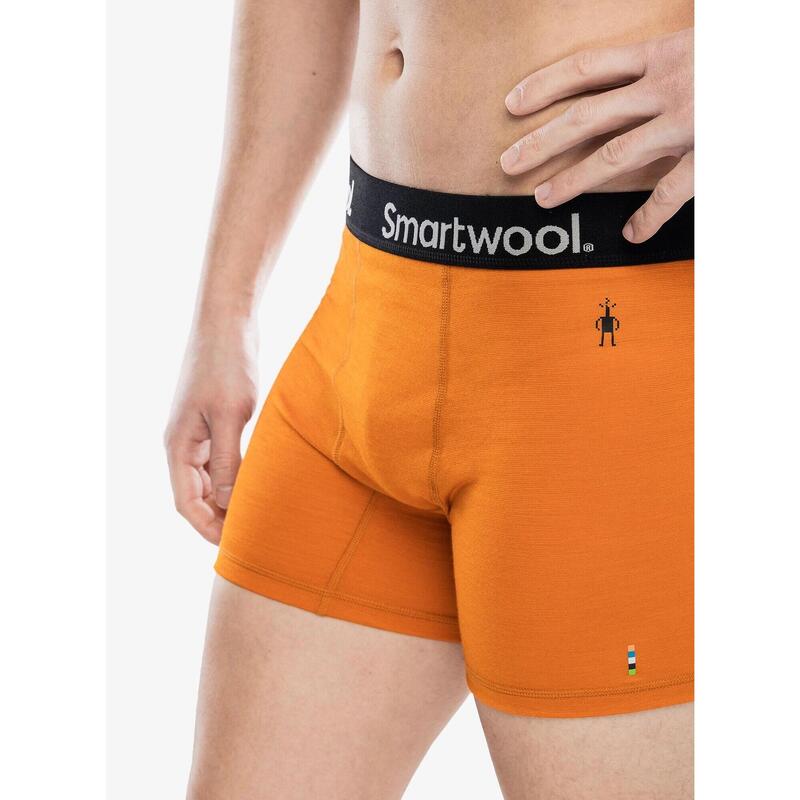 Bokserki termoaktywne męskie Smartwool Active Boxer Brief Boxed