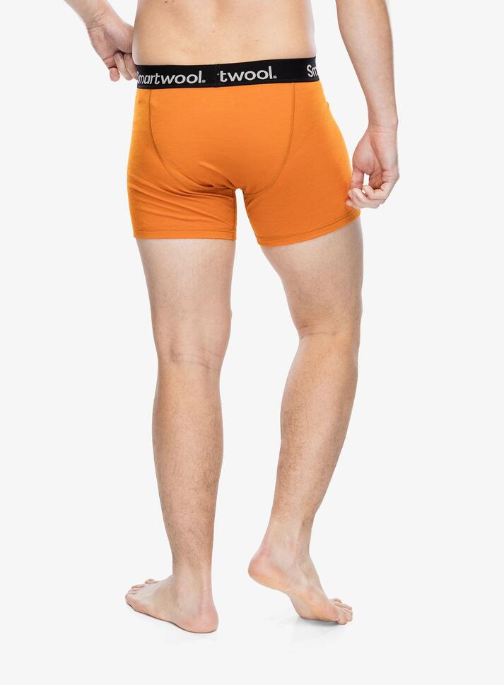 Bokserki termoaktywne męskie Smartwool Active Boxer Brief Boxed