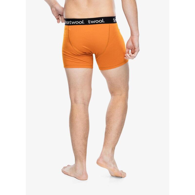 Bokserki termoaktywne męskie Smartwool Active Boxer Brief Boxed