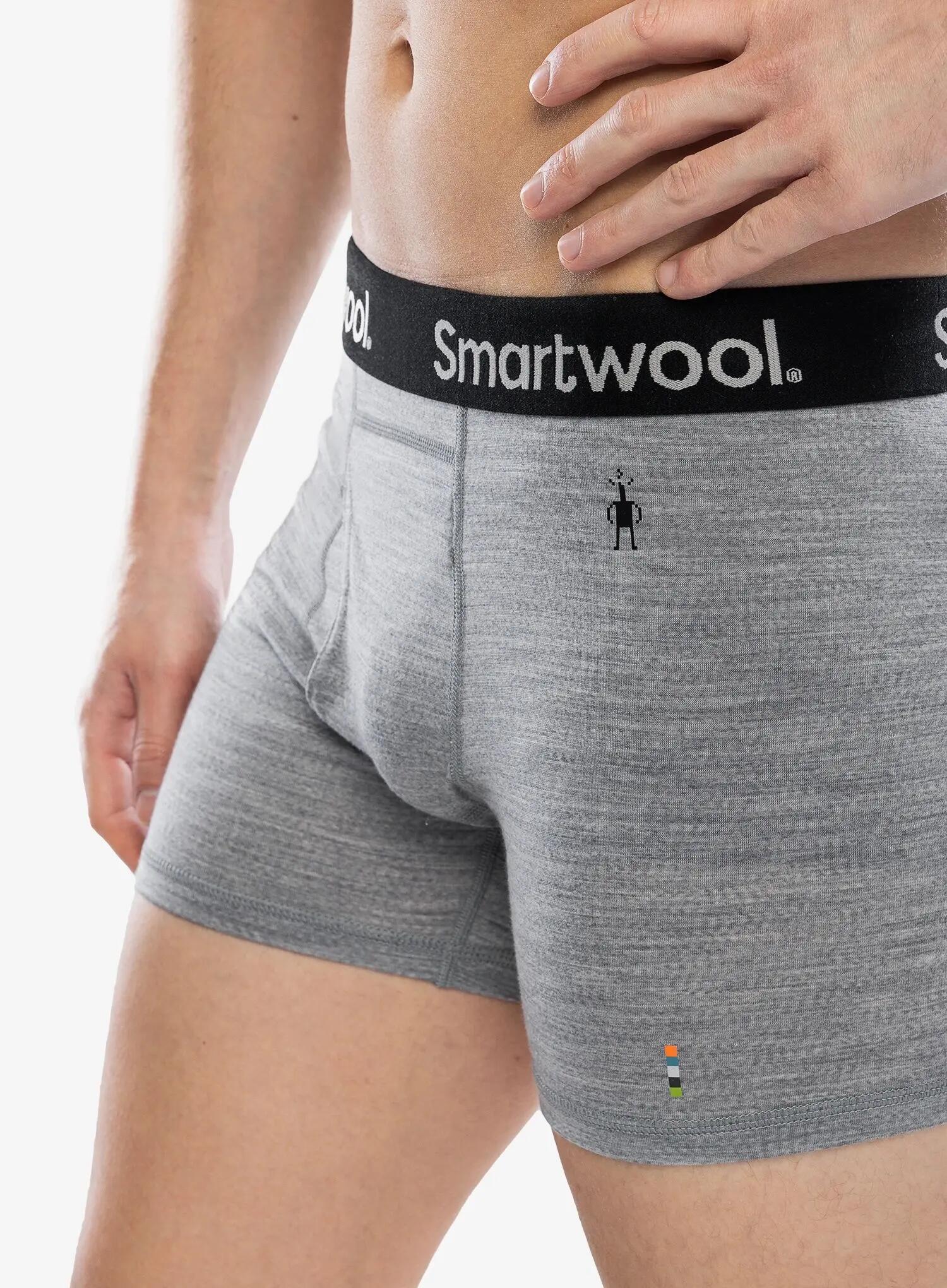 Bokserki termoaktywne męskie Smartwool Merino Boxer Brief Boxed 4/4