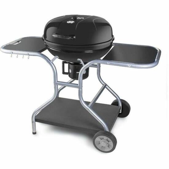 Barbecue Portatile Fieldmann FZG 1014 Carbone