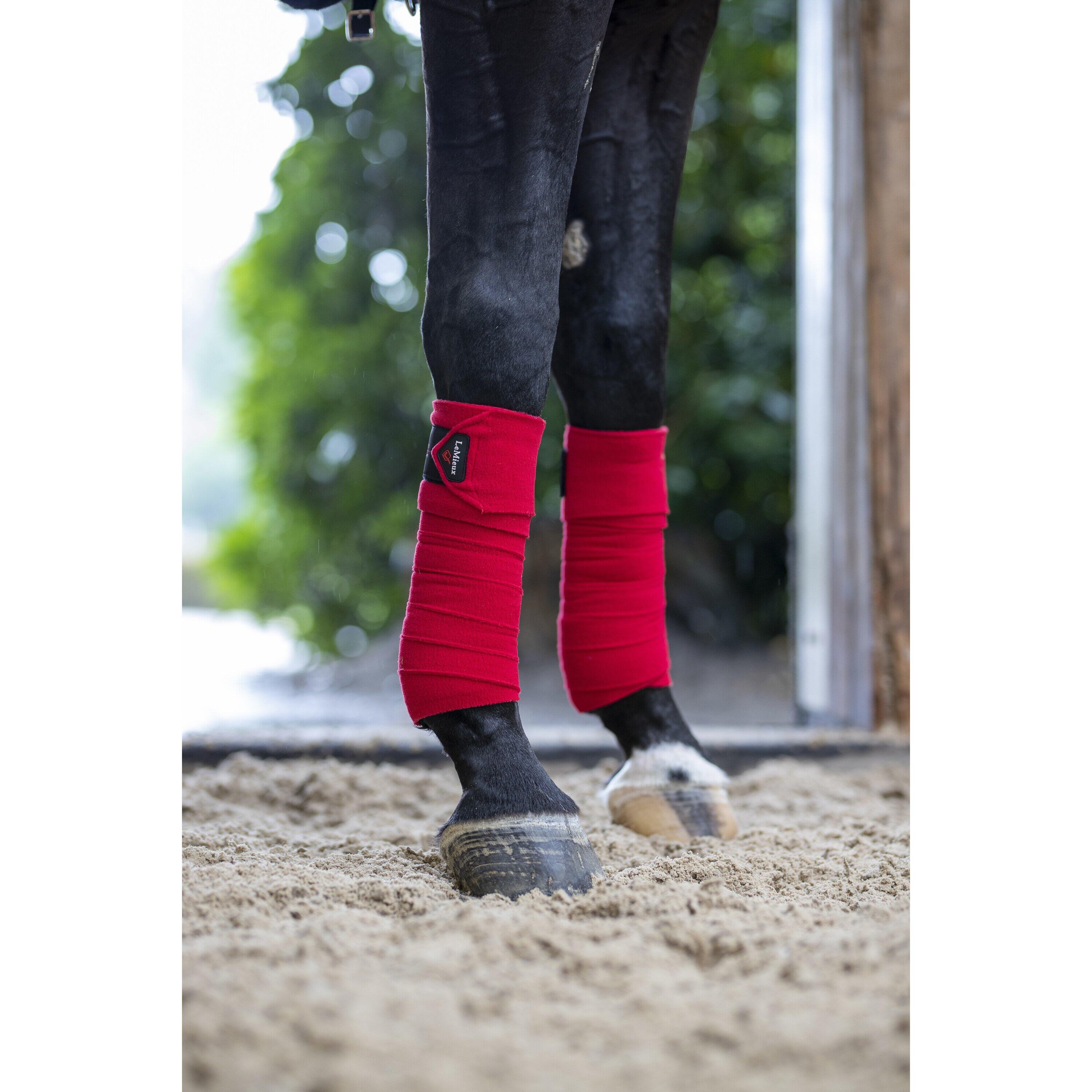 Set van 4 polobanden voor paarden LeMieux Classic 3/3
