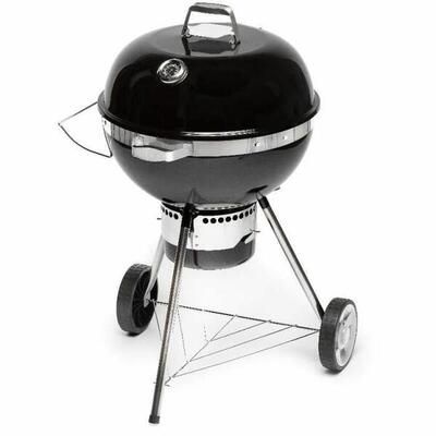 Barbecue Portatile Fieldmann FZG 1017 Carbone