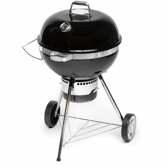 Barbecue Portatile Fieldmann FZG 1017 Carbone