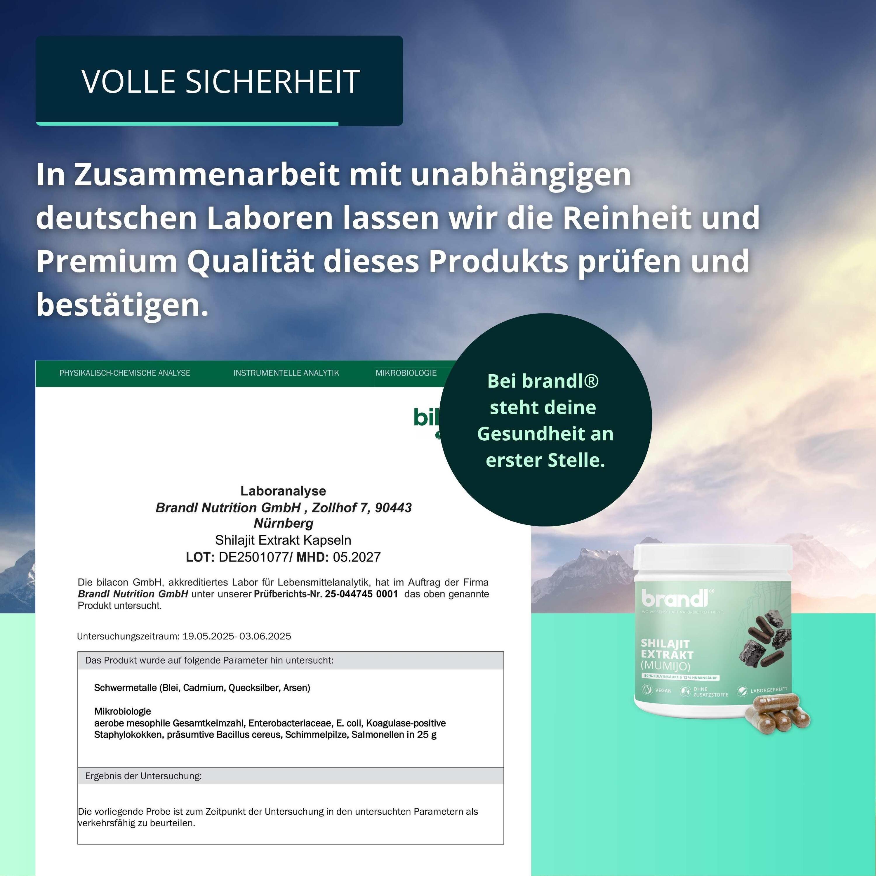 brandl® Shilajit Kapseln | Extrakt mit Fulvinsäure und Huminsäure 6/6