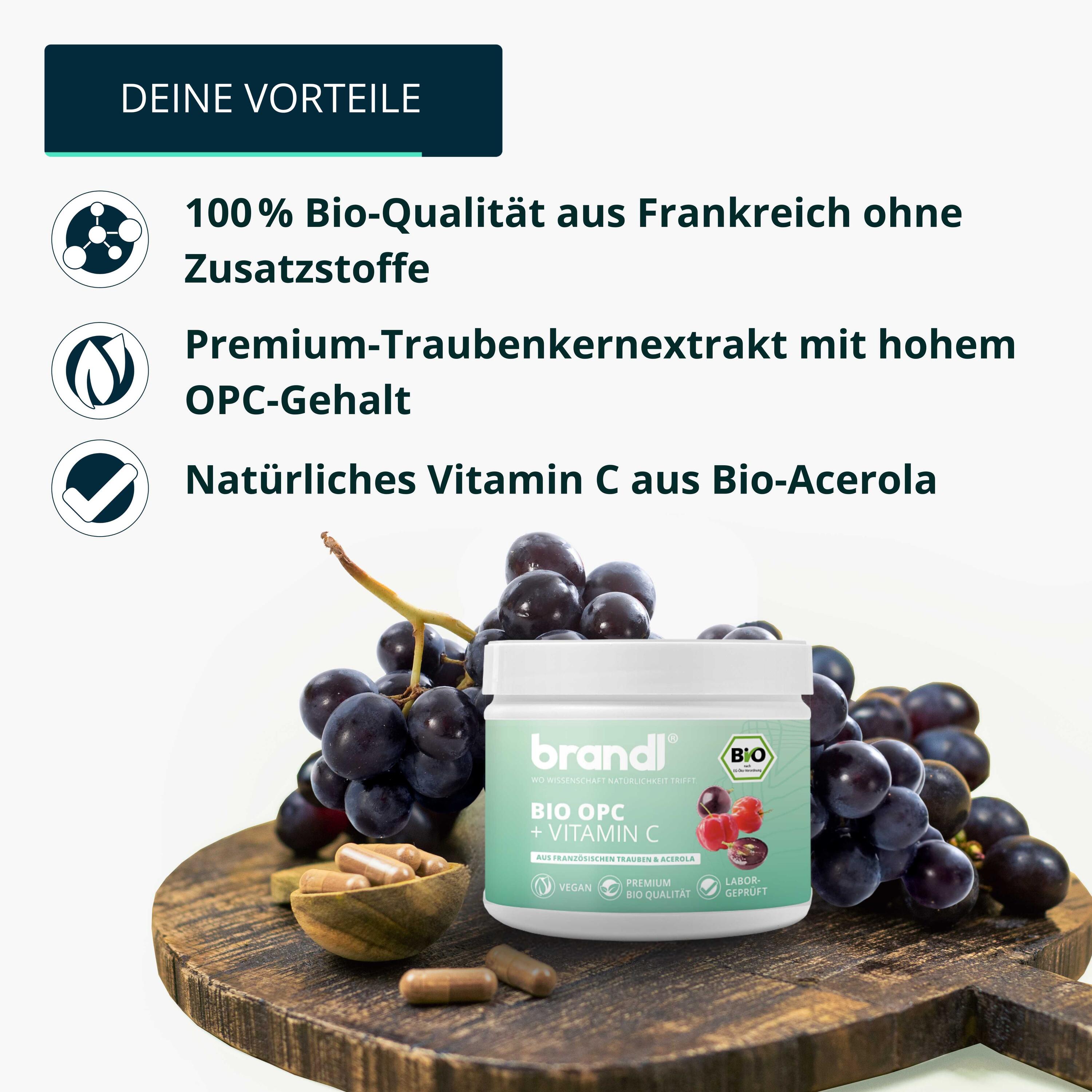 brandl® BIO OPC Traubenkernextrakt mit Vitamin C aus Acerola 3/6