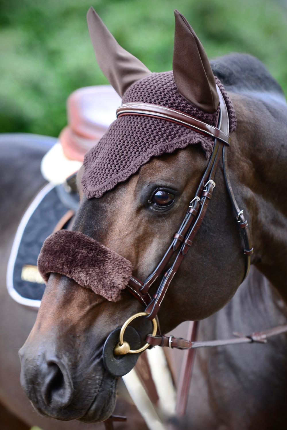 Oornetje Bruin - Voor Paard 3/3