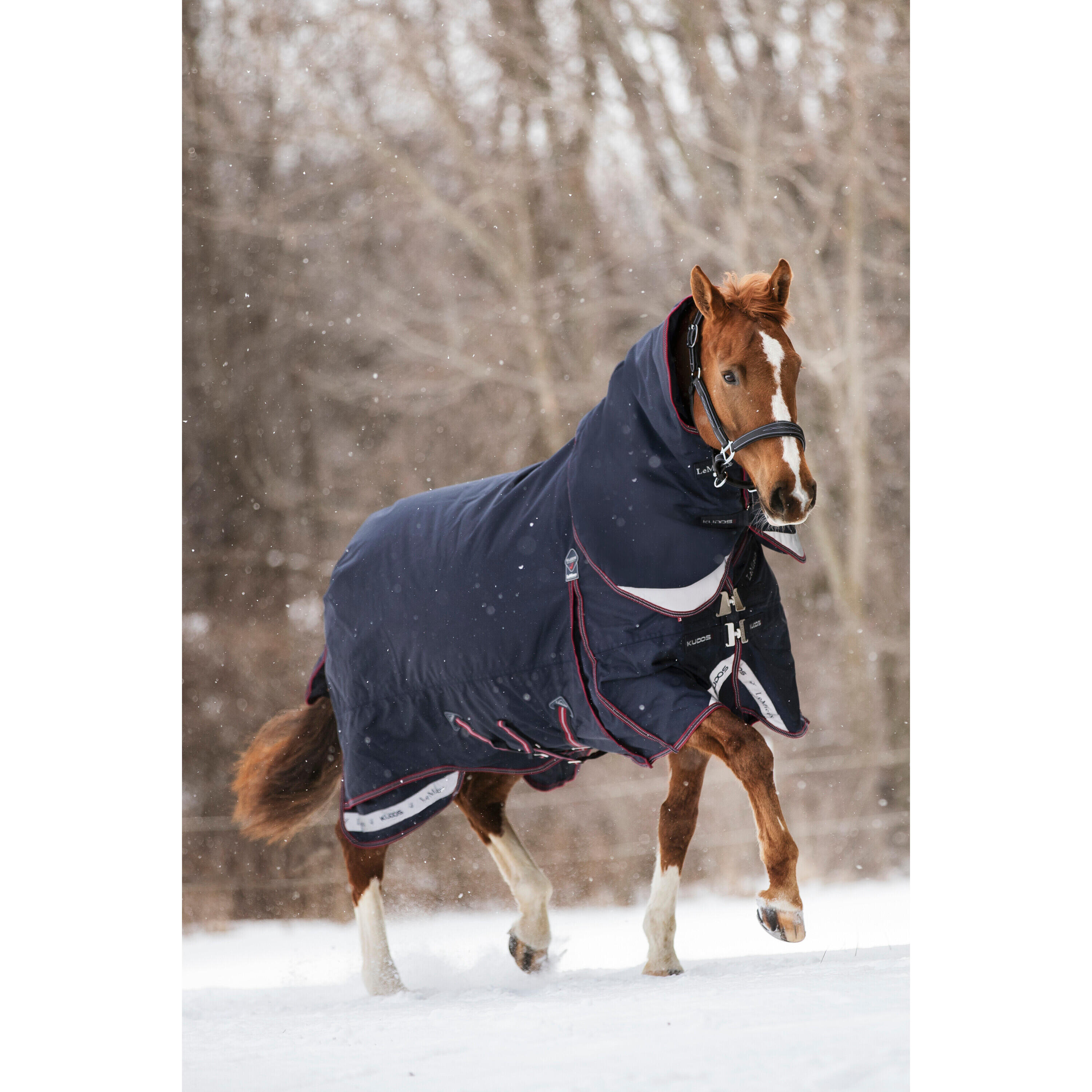 Outdoor paardendeken LeMieux Kudos 350g 3/7