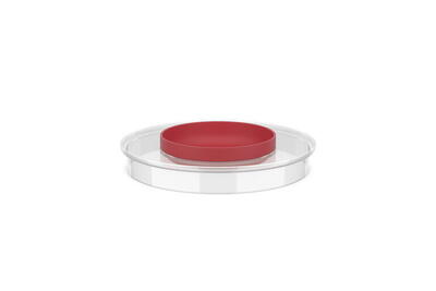 Spritzschutzdeckel Chef it - Zusätzliche Schüssel im Deckel - 0.25l - Coral