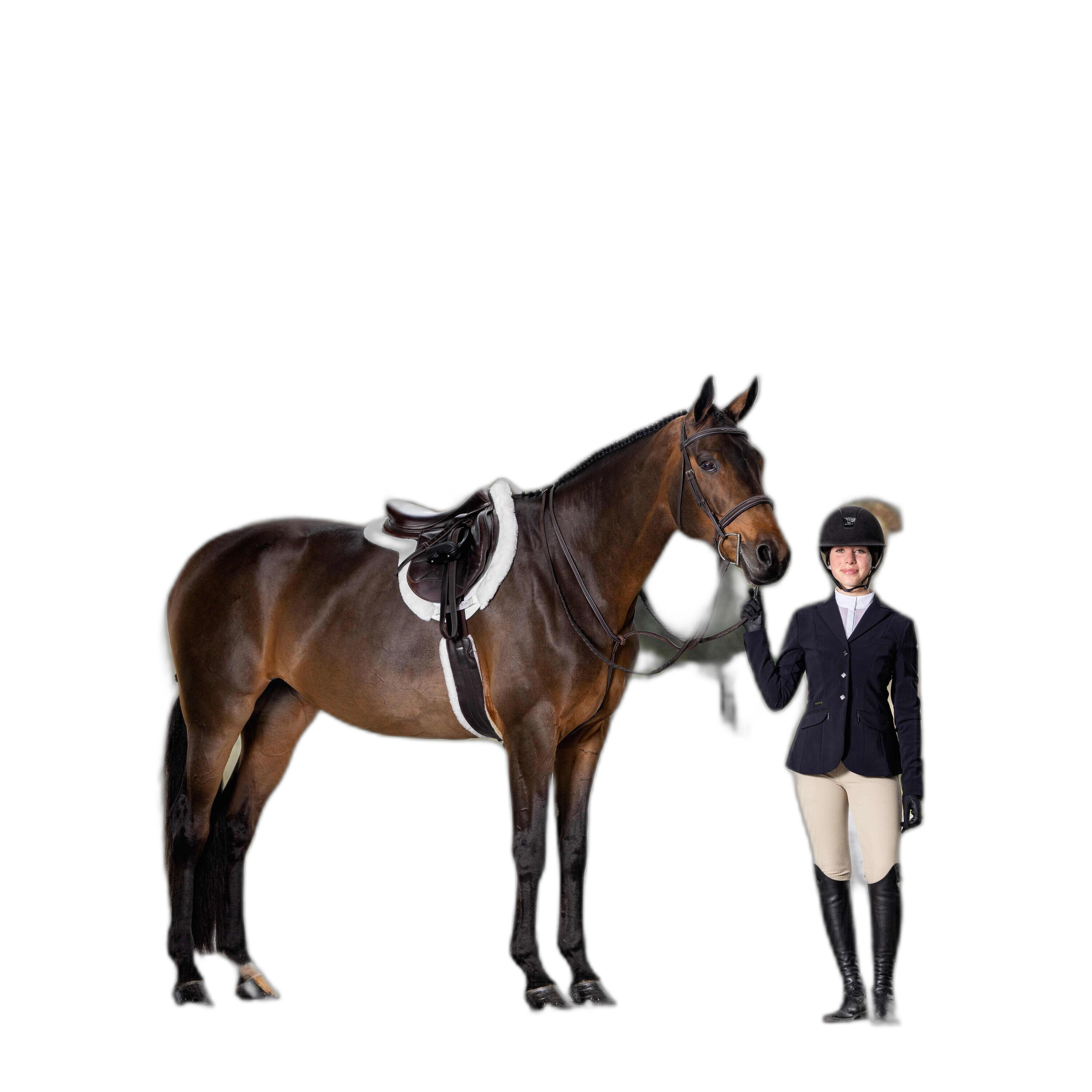 Paardrijden teugel met stiksels en veters teugels LeMieux Hunter 3/5