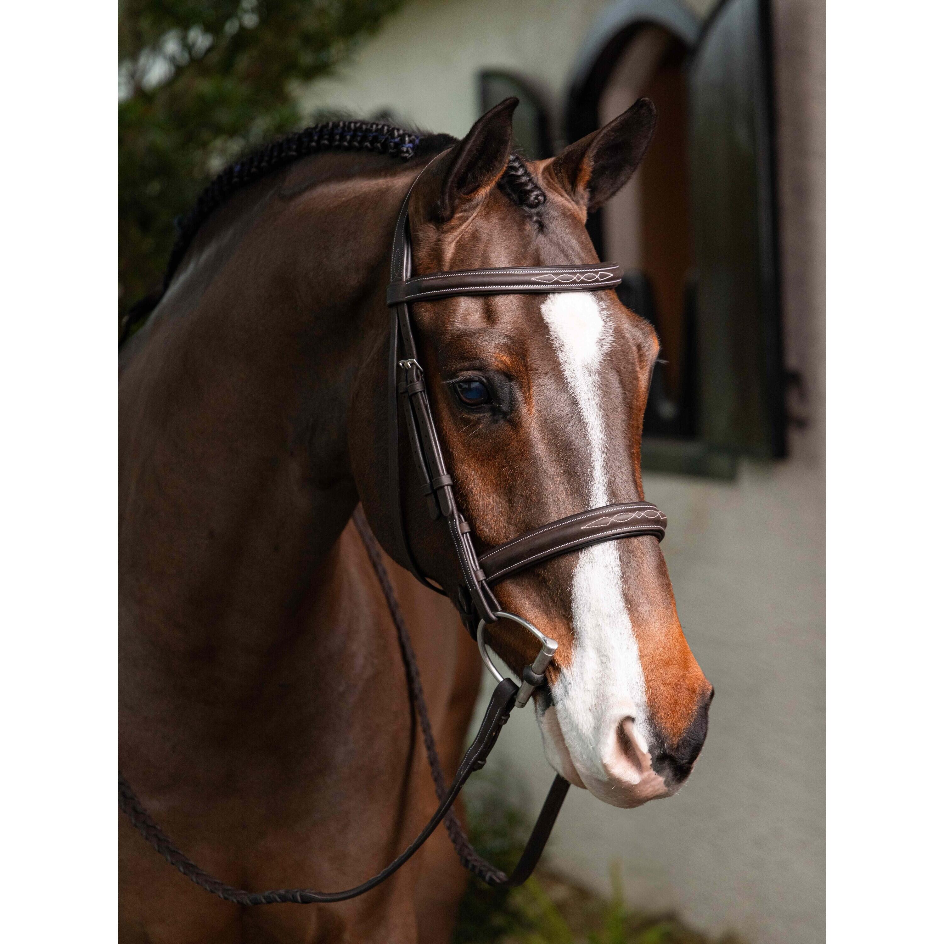 Paardrijden teugel met stiksels en veters teugels LeMieux Hunter 4/5