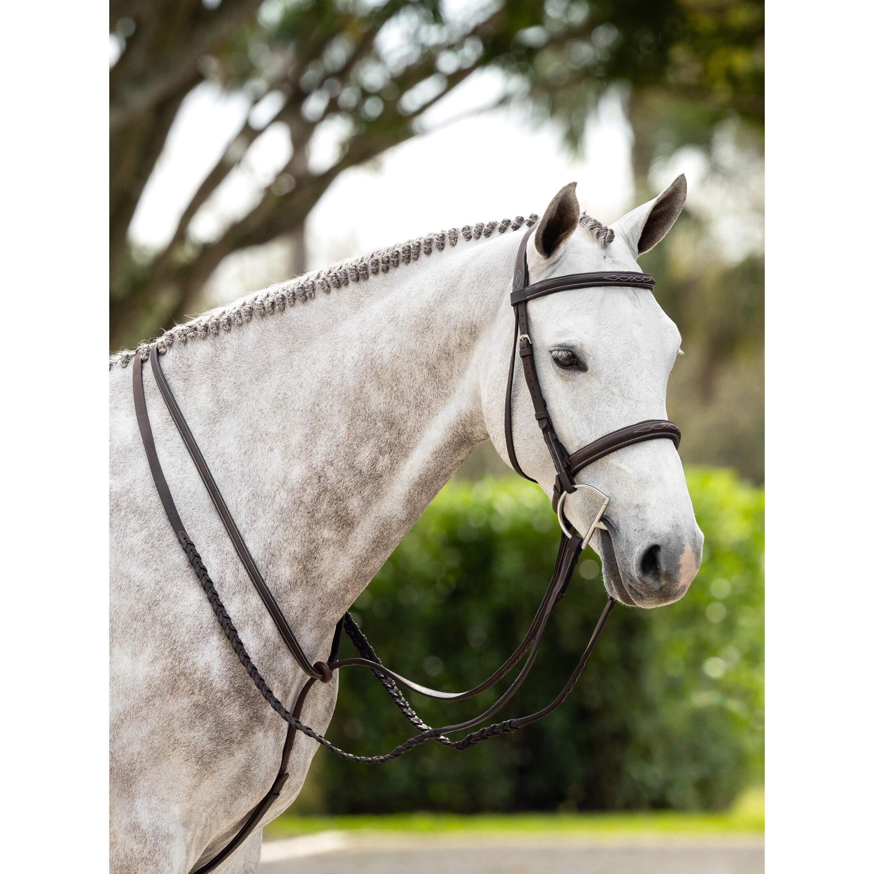 Paardrijden teugel met stiksels en veters teugels LeMieux Hunter 5/5