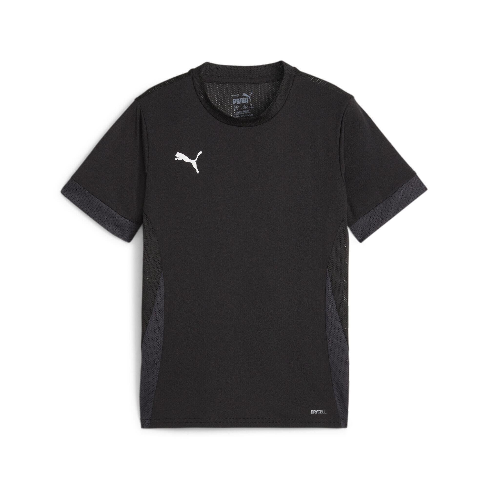 PUMA picture