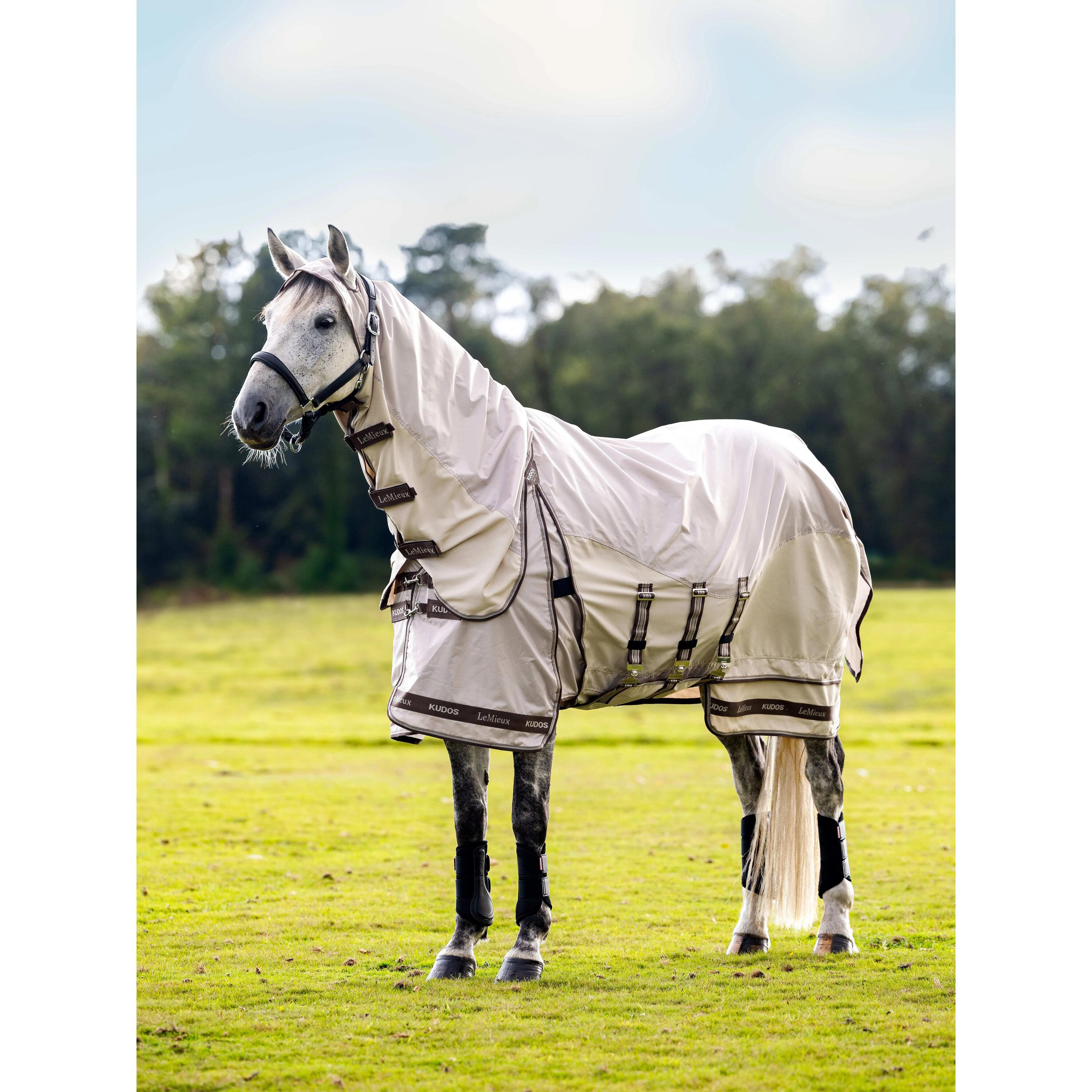 Couverture pour cheval anti-dermatite LeMieux Kudos Shower Pro 2/3