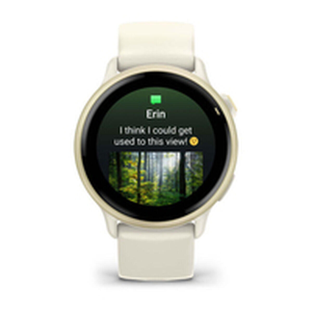 Smartwatch GARMIN 010-02985-01 Smartwatch 4/5