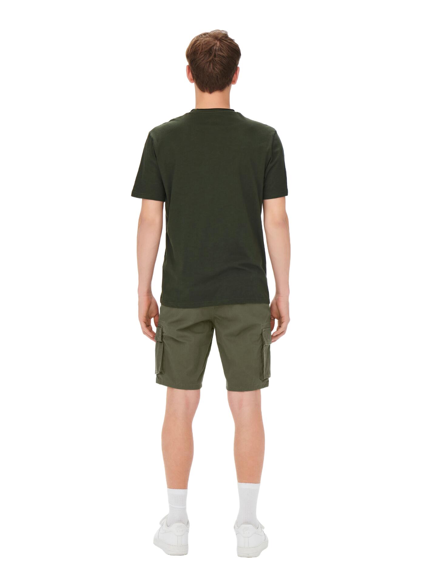 Vert lichen foncé 4/7