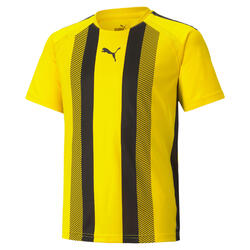 Maillot enfant Puma Team Liga Striped