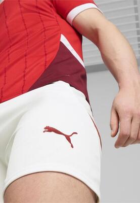 Zwitserland replica voetbalshort voor heren puma white team regal red