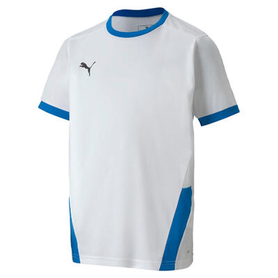 Hemden trainingsschoenen voor jongens puma teamgoal 23 jersey