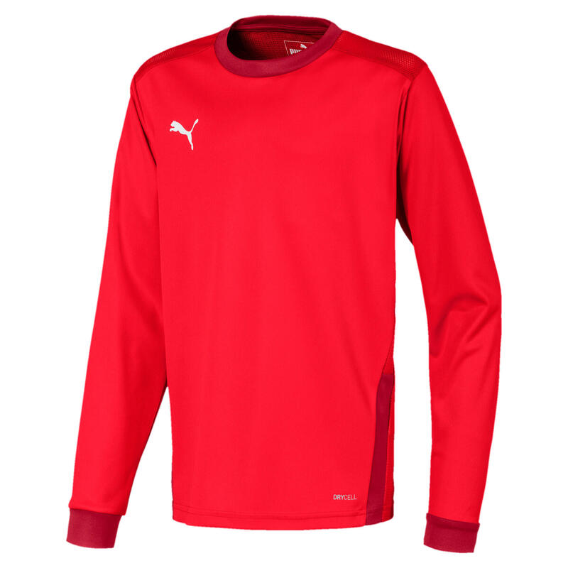 Camiseta mangas largas niños Puma Team Goal 23 Jersey