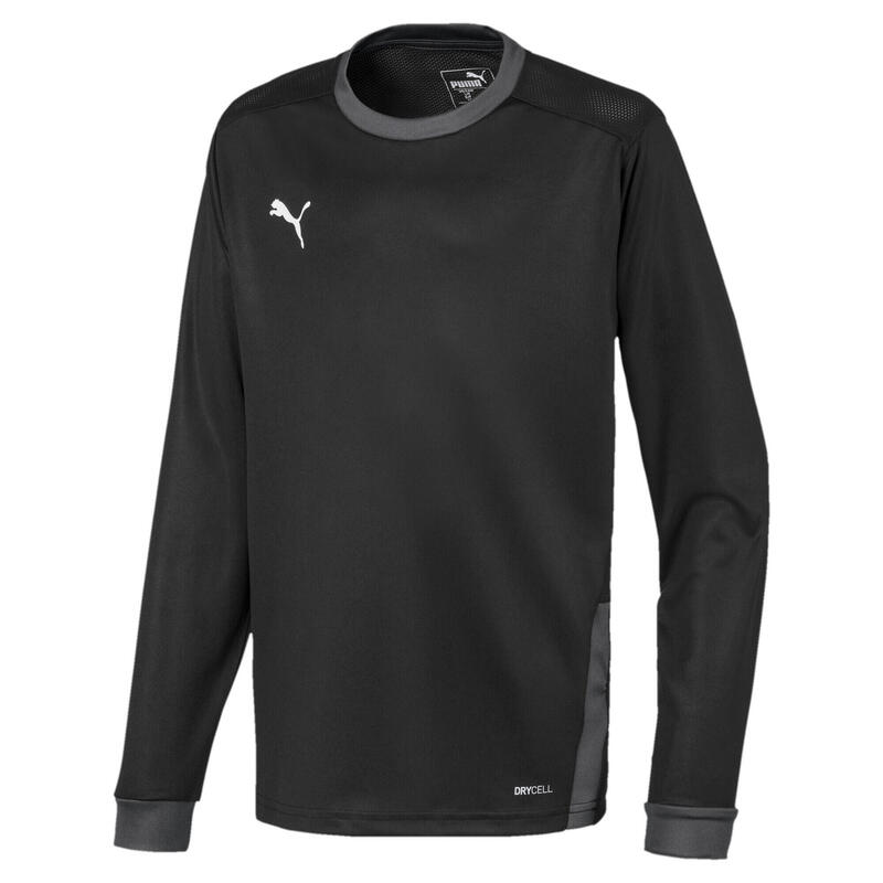 Maillot manches longues enfant Puma Team Goal 23 Jersey