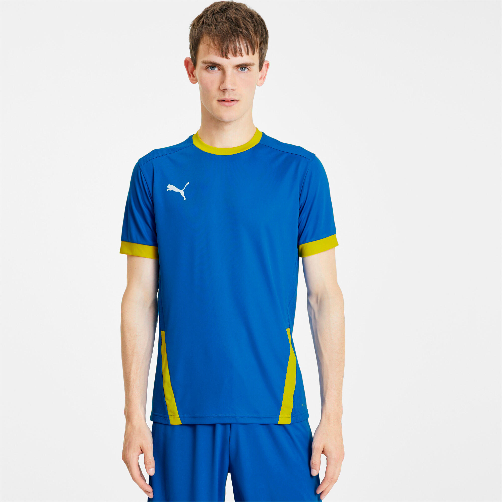 Jersey Puma Team Goal 23 3/6