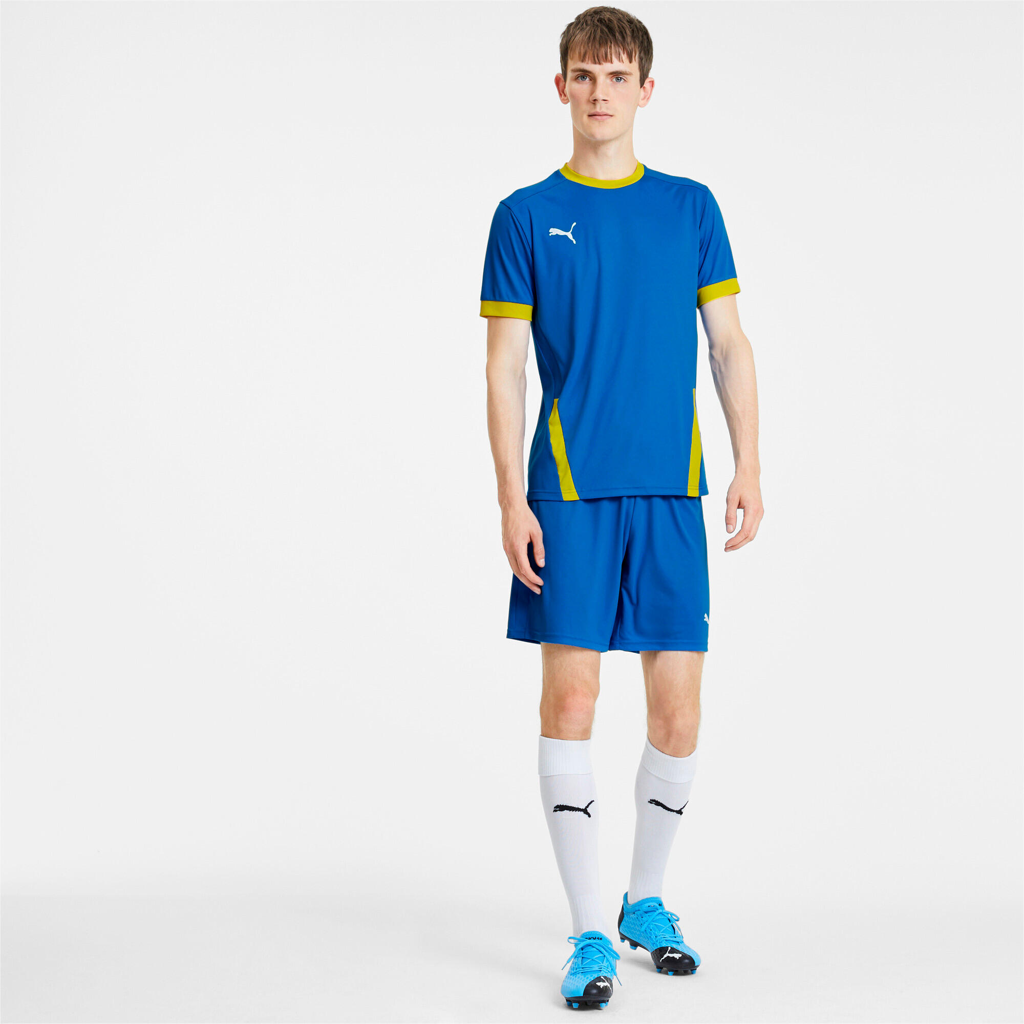 Jersey Puma Team Goal 23 5/6